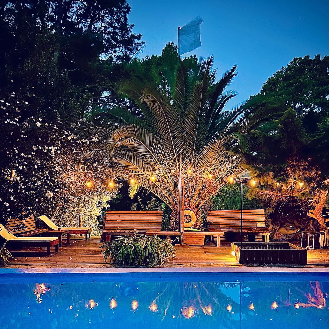 Piscina y entorno